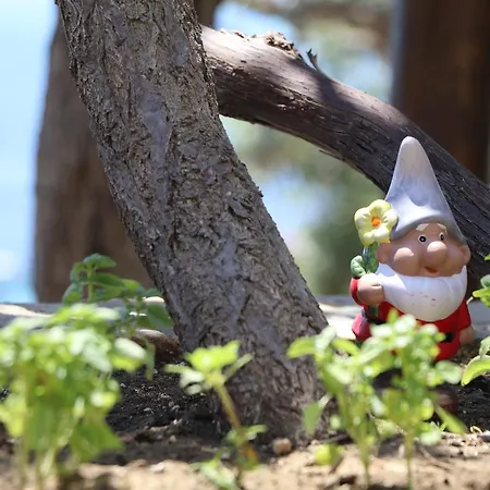 Aparthotel Aliki Bay View *