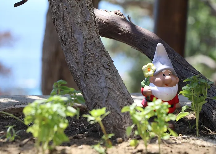 Aparthotel Aliki Bay View *